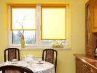 Рулонные шторы для пластиковых окон