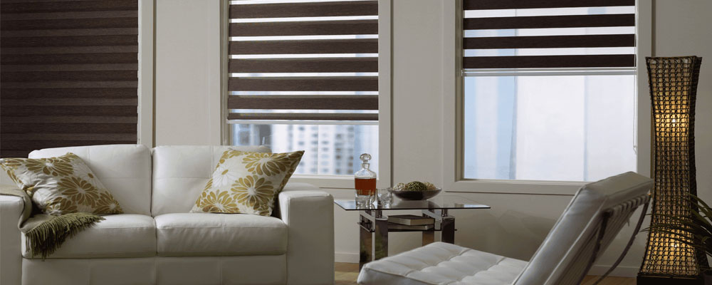 Рулонные шторы Зебра для пластиковых окон